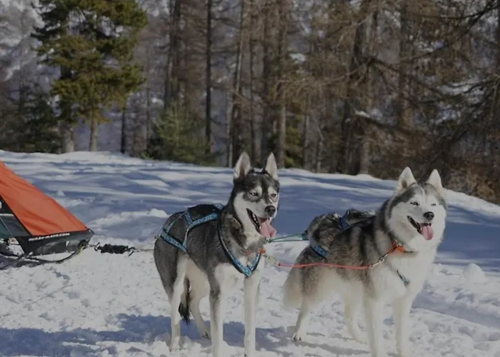 Les Balcons Du Grand Puy Chalet Seyne
